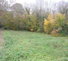 Autre vue du terrain avec des bois au fond et sur toute la partie droite de notre terrain, je posterai de nouveau des photos lorsque les voisins auront enlev&eacute; les quelques arbres trop proche de la maison.