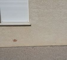 Décollement crépi