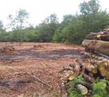 Le terrain apr&egrave;s d&eacute;frichement