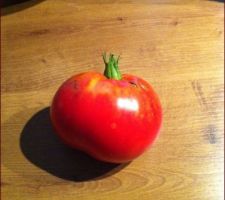 Premiere tomate du jardin !