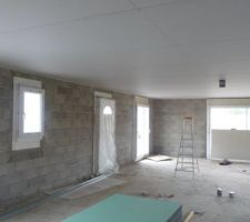 Intérieur avant pose du placo