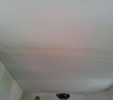 Plafond en cours d'enduit sur de la fibre de verre...