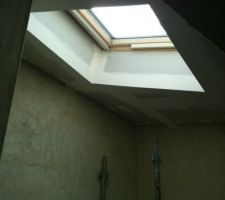 Velux de desenfumage et puit de lumiere au dessus de l'escalier des communs