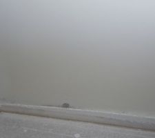 ça moisi, j'ai acheté du neuf poutant