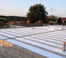 Au fond en noir se sera la futur terrasse