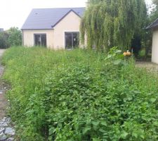 Vinaigre ou lance-flamme ?