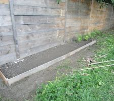 Premier essai de réalisation d'une bande potagère à l'aide de vieilles planches de la palissade.