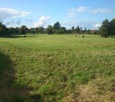 Notre terrain en fin d'été!
en attendant le terrassier !!!