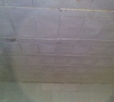 Plancher sous sol flechi