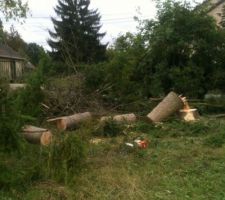 Et voila ce qui en reste...