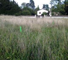 Piquets sur le terrain pour d&eacute;limiter la maison. &ccedil;a fait petit!