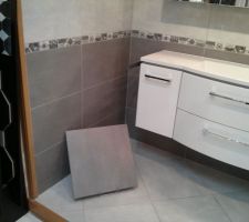 Carrelage salle de bain 45 x 45 Seattle Graphite