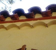 Tuiles toutes moisies