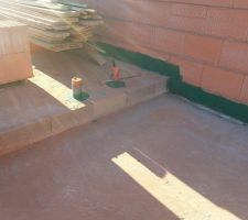 Barrière anti-termites