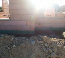 Barrière anti-termites