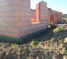 Barrière anti-termites