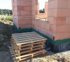 Barrière anti-termites