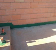 Barrière anti-termites