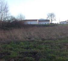 Le lotissement avant les travaux de viabilisation.