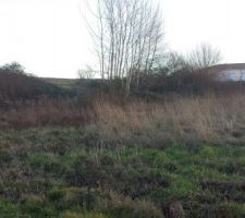 Le lotissement avant les travaux de viabilisation.