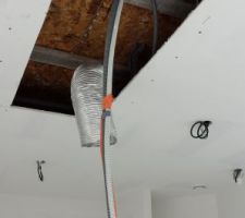 Découpe pour la hotte