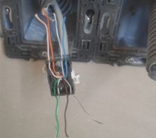 Elec