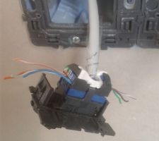 Elec