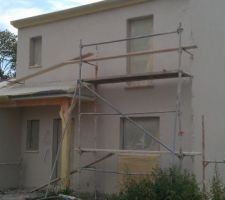 Crépis en cours