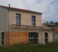 Crépis en cours (ça va s'éclaircir)