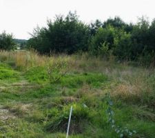 Nous sommes propriétaires de ce terrain