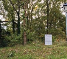 Vu comme cela, ce sous-bois n'&eacute;tait pas tr&egrave;s engageant   :-)