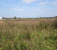 Pour l'instant il n'y a que les piquets ;-)