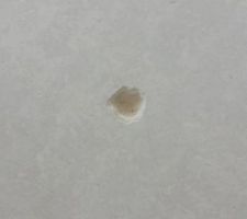 Verification si la chape est sèche