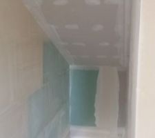 Faux Plafond de la cage d'escalier