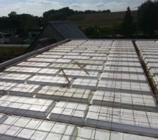 Le treillis est en majorit&eacute; pos&eacute;