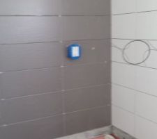 Carrelage côté douche