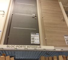 Nos futures portes avec insert alu et isolation thermoacoustique.