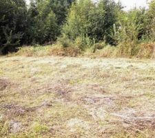 Terrain débrouissaillé