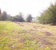 Terrain débrouissaillé