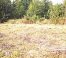 Terrain débrouissaillé