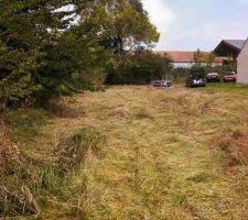 Terrain débrouissaillé