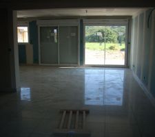 Carrelage termine en DUAL PLATINA poli 60x60