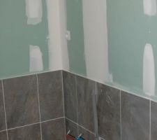 Carrelage salle de bain
