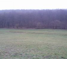 le bornage continue, j'ai tenté ici de matérialiser les bordures, on voit ici au premier plan la parcelle n°7 et la mienne, la 8 qui s'étend dans la forêt.