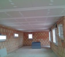 Placo du plafond posé