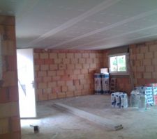 Placo du plafond posé