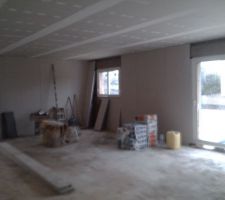 Doublage des murs en cours