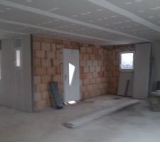 Doublage des murs en cours