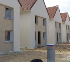 Hortensia r&eacute;el