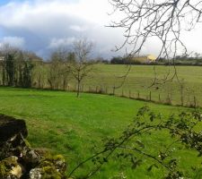 Mon terrain coup de coeur